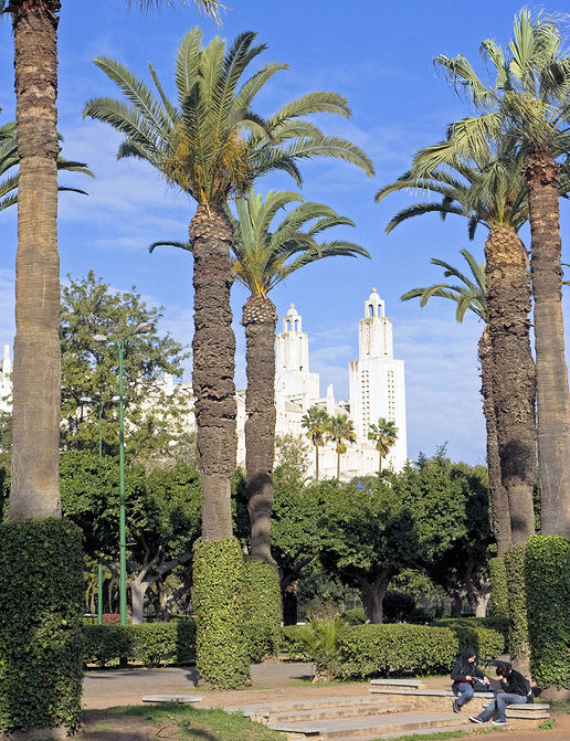 Casablanca Highlights